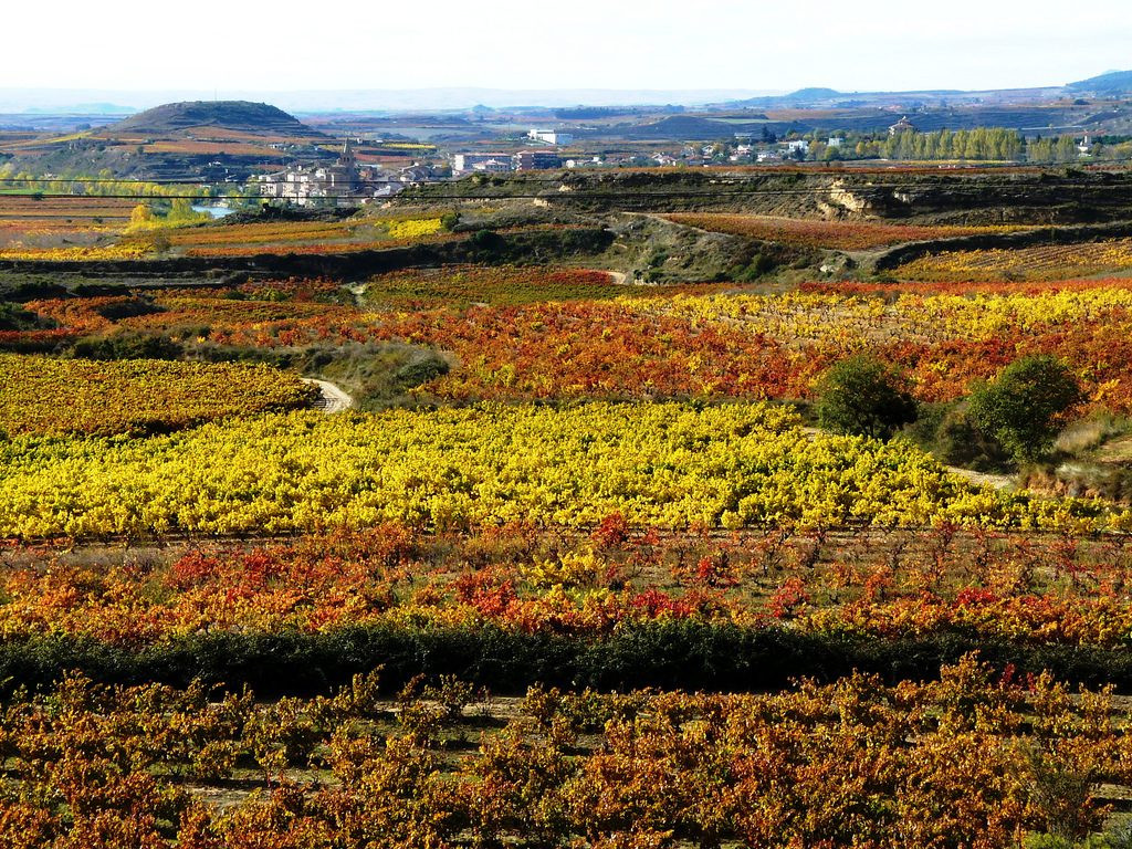 Vinhedos de Ribera del Duero, Espanha