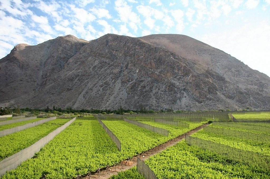 Vale Elqui, Chile