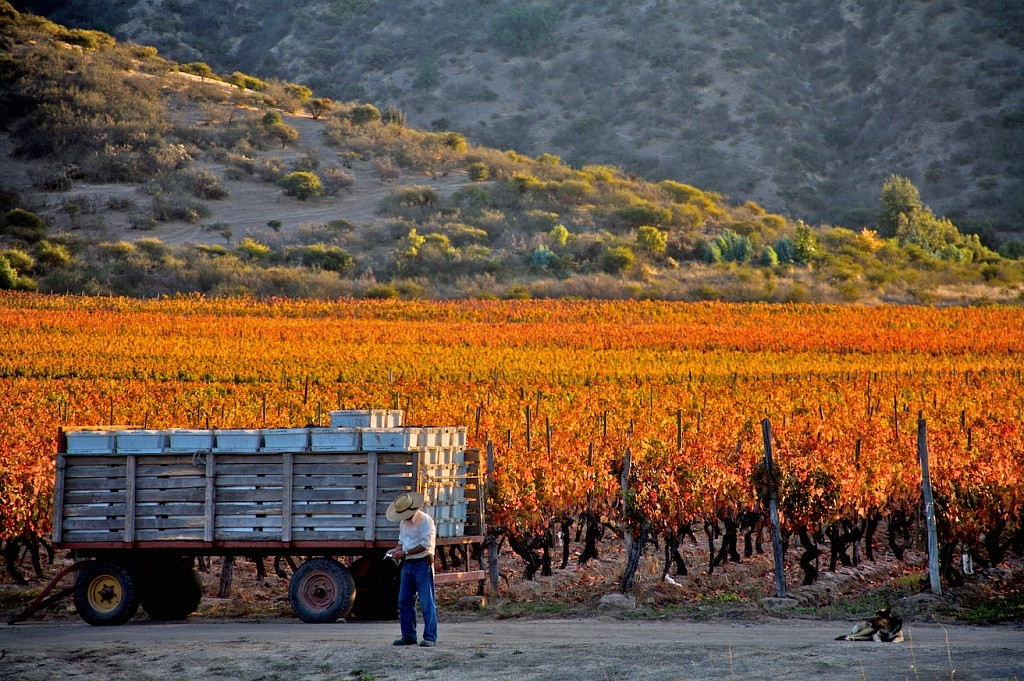 Vale Cachapoal, Chile