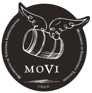 Movi Night SP