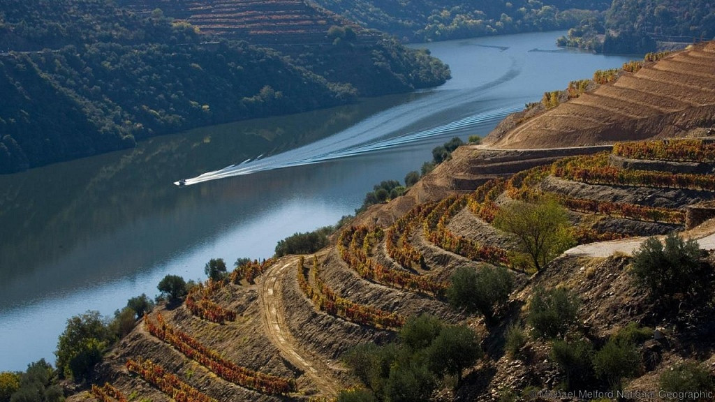 Douro, Portugal, Viva o Vinho