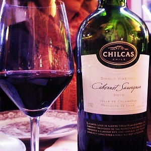 Chilcas Cabernet Sauvignon Single Vineyard 2010 - Di Fondi - Viva o Vinho