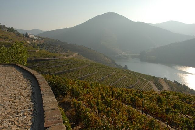 10 de setembro: Dia do Vinho do Porto