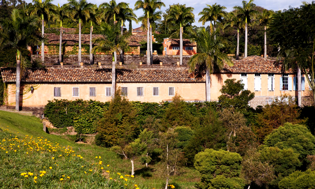 Guaspari: vinhos tops no Estado de São Paulo