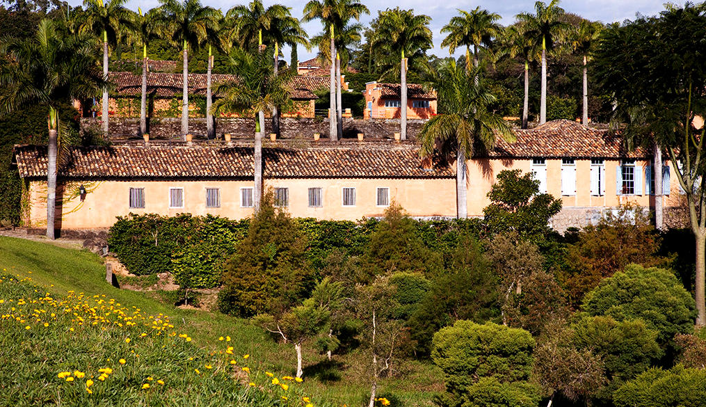 Guaspari: vinhos tops no Estado de São Paulo