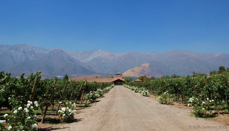 Viña Aquitania, Santiago, Enoturismo, Chile