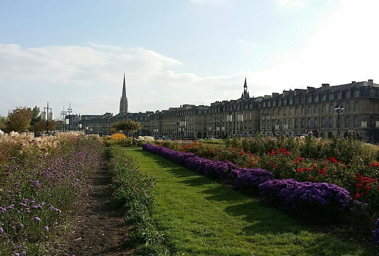 Bordeaux: tradição e excelência na produção de vinhos