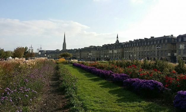 Bordeaux: tradição e excelência na produção de vinhos