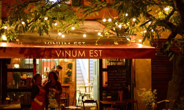 Vinum Est: divirta-se aprendendo sobre vinhos