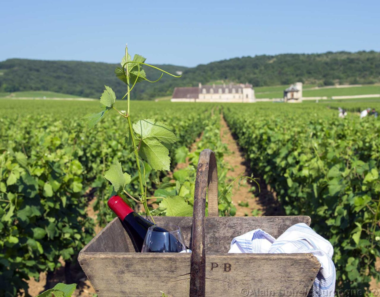 O que a Borgonha oferece aos amantes do vinho