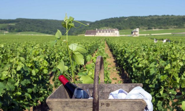 O que a Borgonha oferece aos amantes do vinho