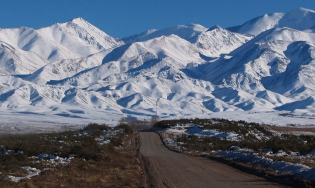 Mendoza: a adega da Argentina