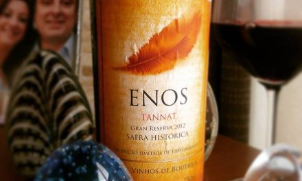 Enos Gran Reserva Tannat 2012: Review