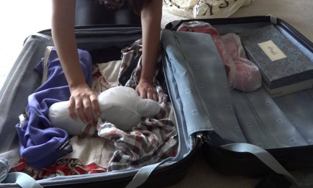 Como transportar vinhos em avião