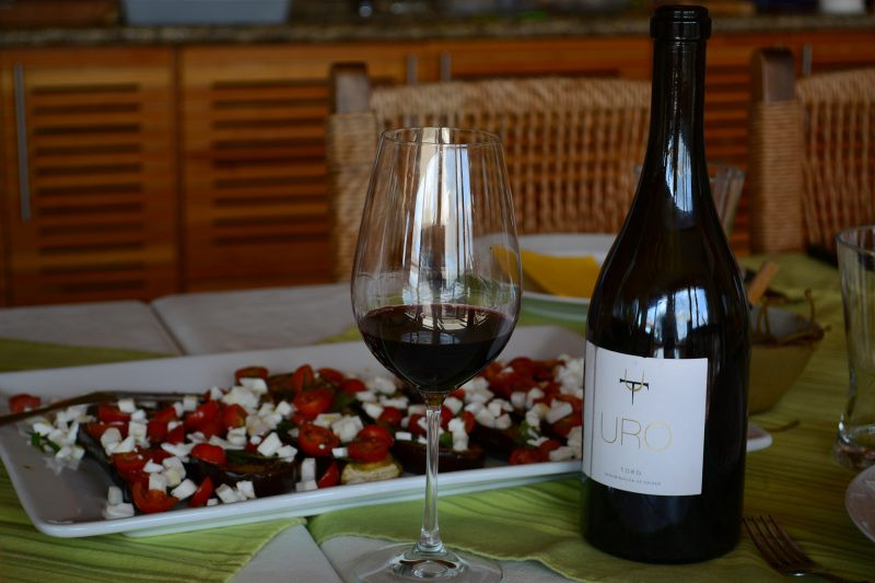 Vinho espanhol Terra d'Uro com salada de berinjela