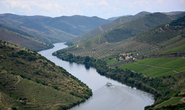 Vinhos e azeites no Douro: quatro dias na DOP mais antiga do mundo