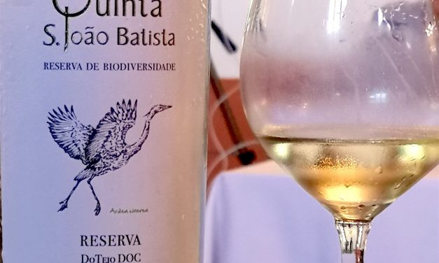 Quinta S. João Batista Reserva Branco 2017: Review