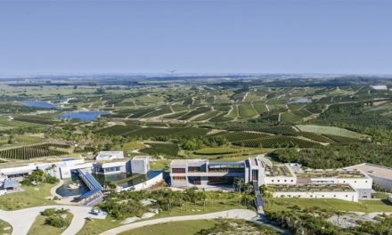 Bodega Garzón: a Melhor Vinícola do Novo Mundo