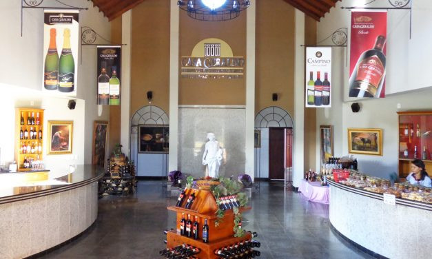 Wine Tour – Casa Geraldo