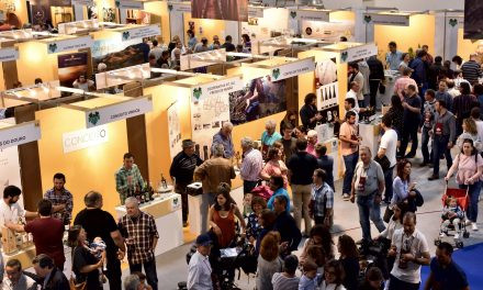 Chega em 2019 a 8ª Edição do Festival do Vinho do Douro Superior