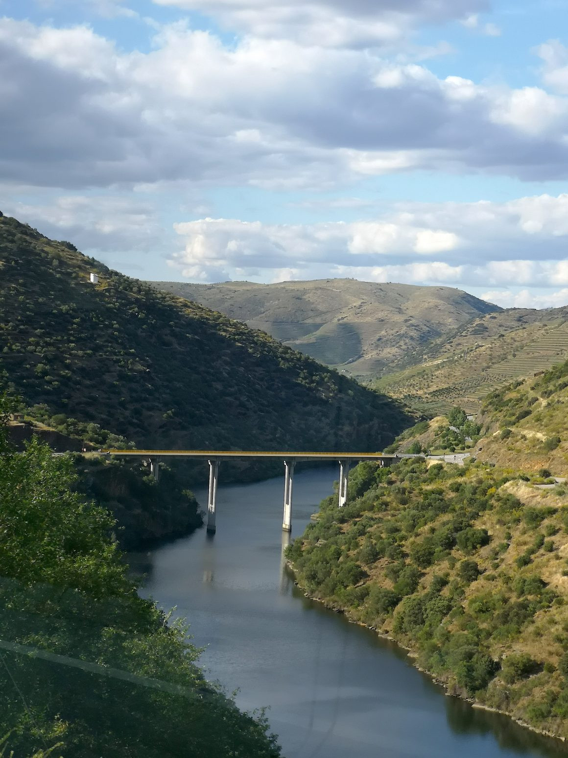 8º Festival do Vinho do Douro Superior - Foz Côa