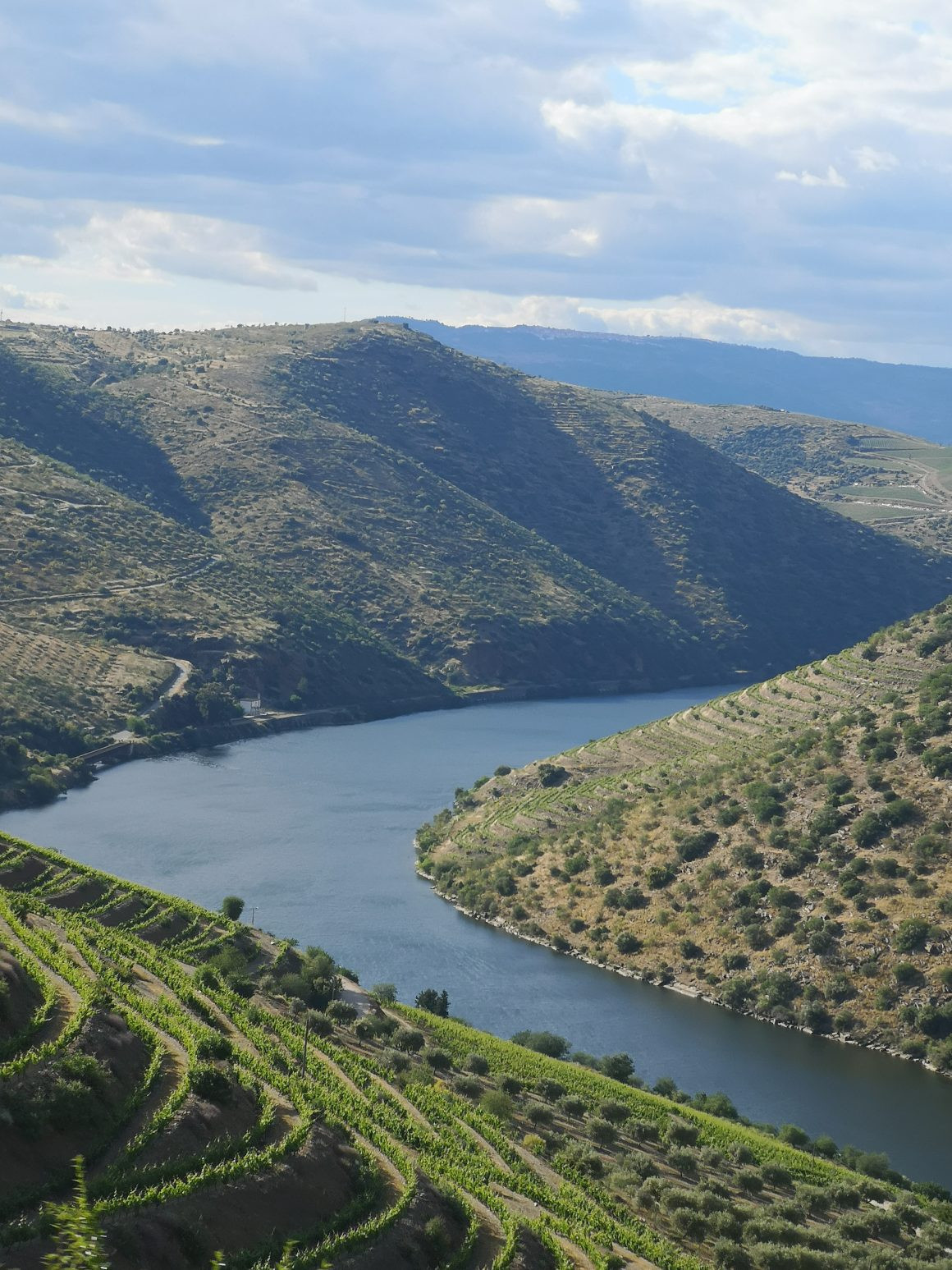 8º Festival do Vinho do Douro Superior - Foz Côa