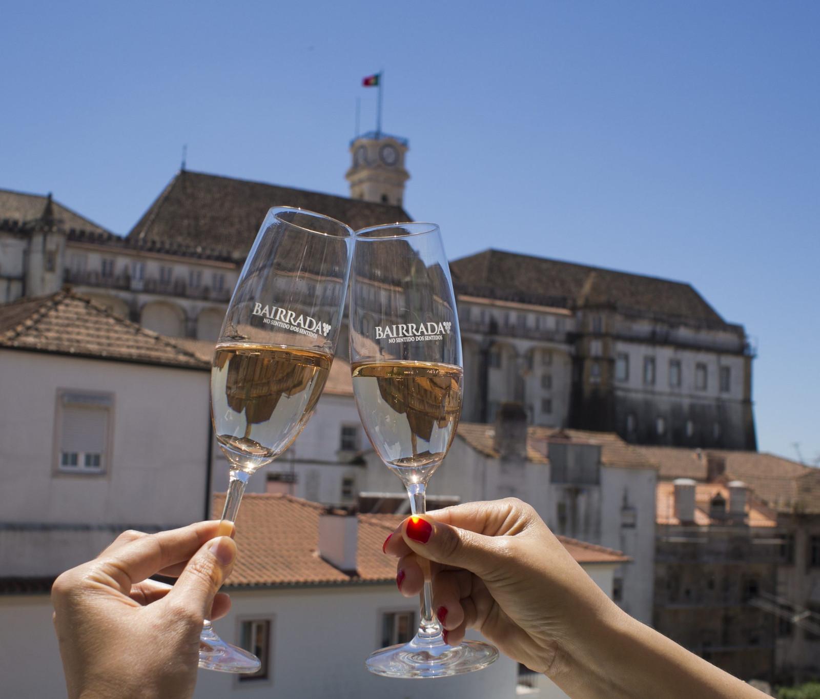 Aqui na Bairrada - Beber & Saborear - Viva o Vinho