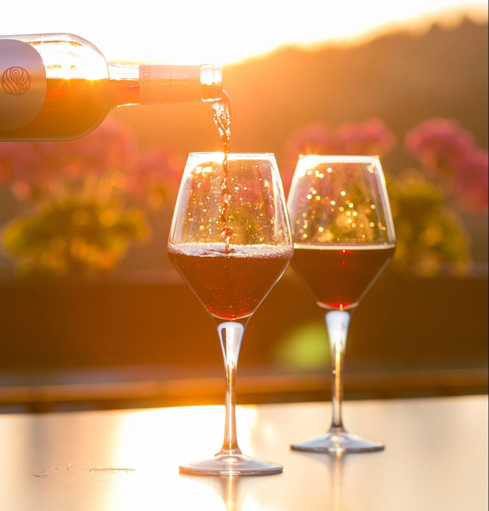 Provino 2019 - Viva o Vinho