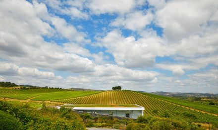 CVRA apresenta a rota do enoturismo no Alentejo