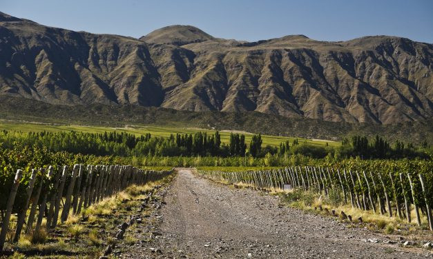 3ª edição do Festival Wines of Argentina