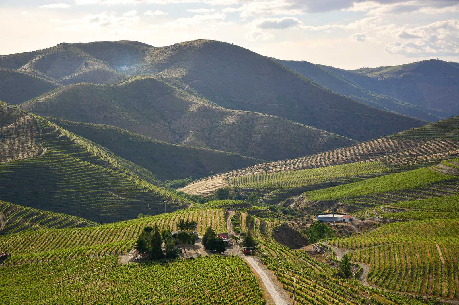 Quinta da Leda, Douro | Viva o Vinho