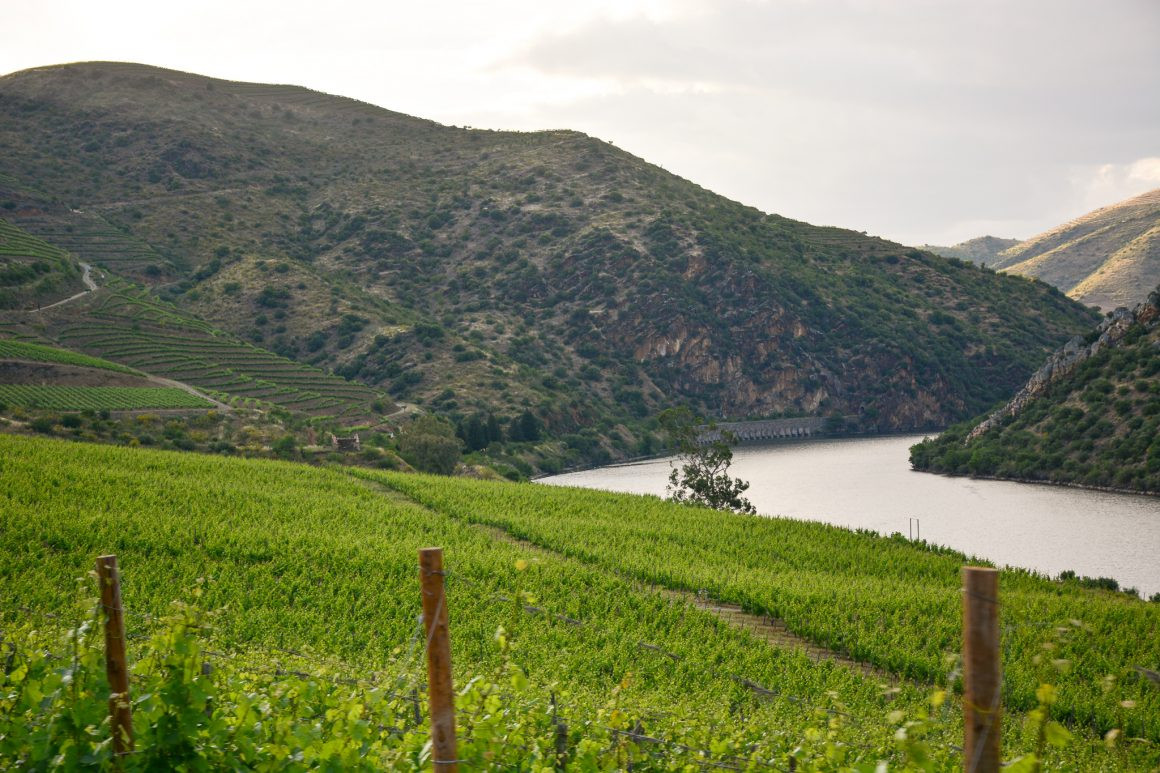 Quinta da Leda, Douro | Viva o Vinho