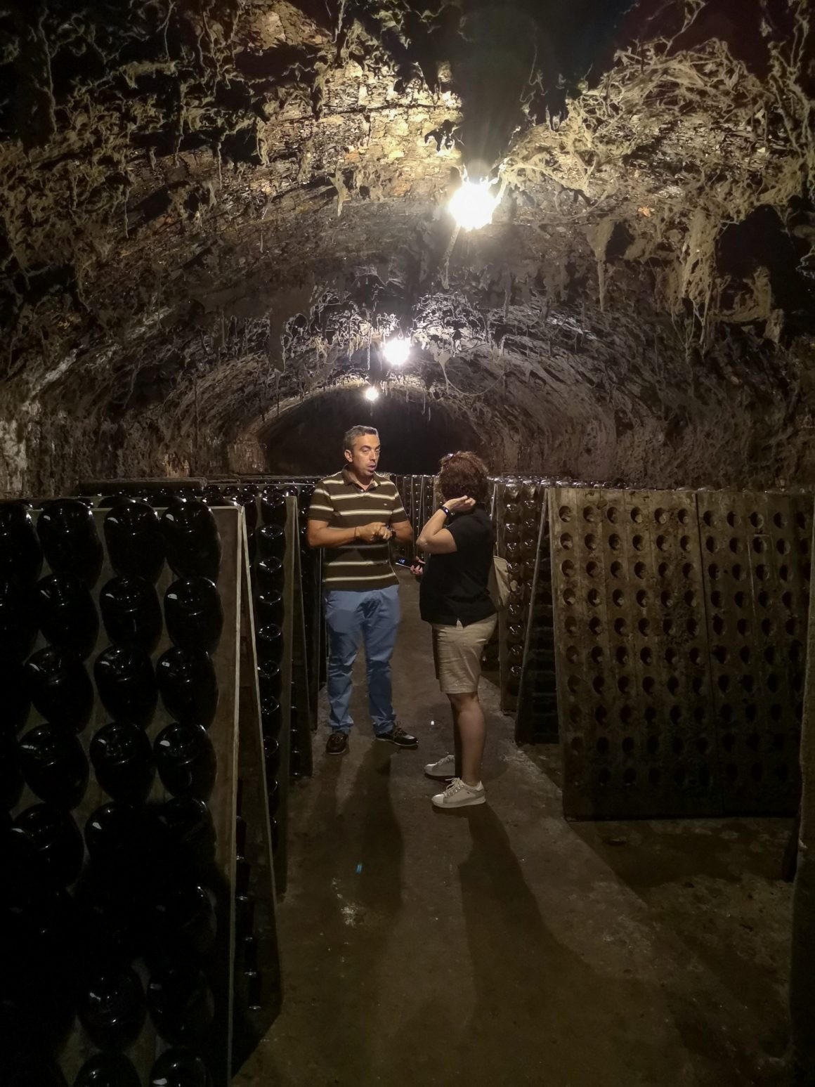 Caves São Domingos | Viva o Vinho