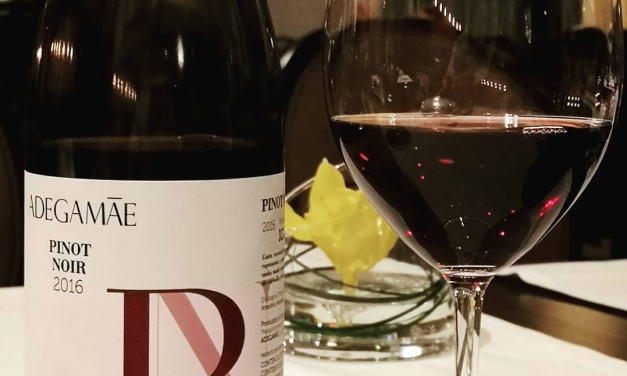 Adega Mãe Pinot Noir 2016