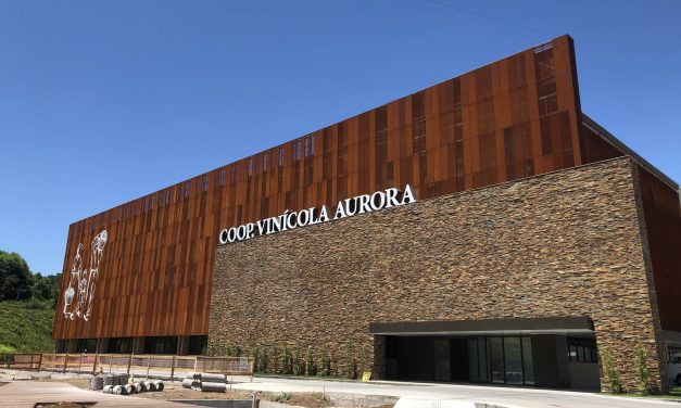 Líder de mercado, Vinícola Aurora celebra 89 anos com faturamento histórico de R$ 558 milhões