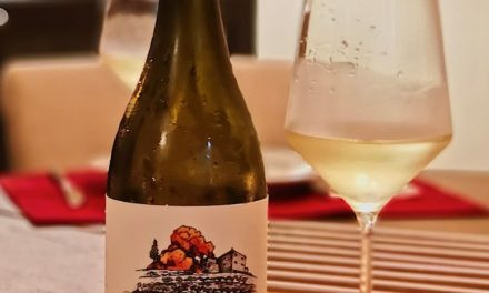 1000 Curvas Chardonnay e Alvarinho Oak 2016