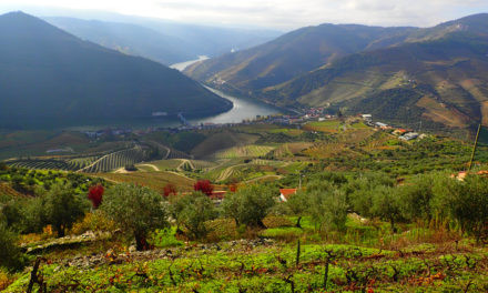 Festival de Vinhos de Portugal movimenta o setor varejista no Brasil