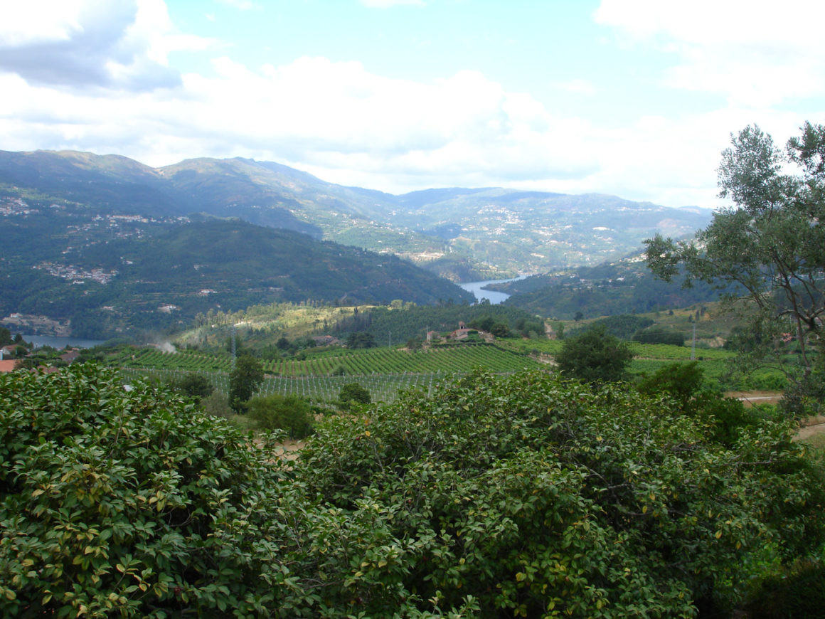 Paisagem na região dos Vinhos Verdes