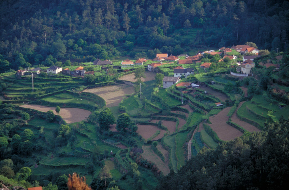 Vila Tradicional na região dos Vinhos Verdes