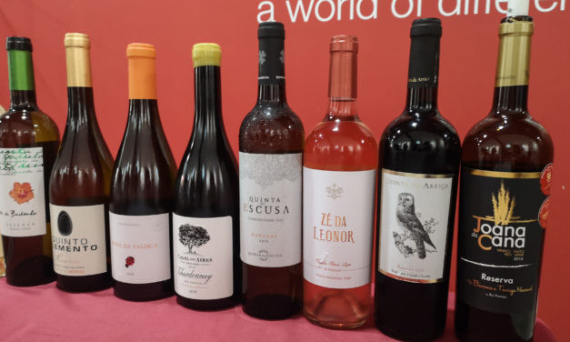 Grandes vinhos de pequenos produtores