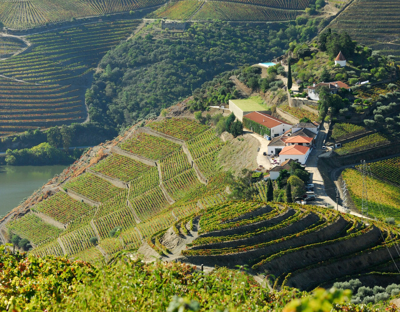 QUINTA DO CRASTO É ELEITA A 8ª MELHOR VINÍCOLA DO MUNDO