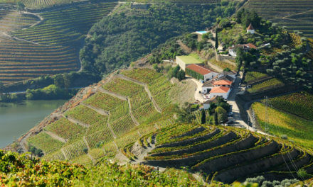 QUINTA DO CRASTO É ELEITA A 8ª MELHOR VINÍCOLA DO MUNDO