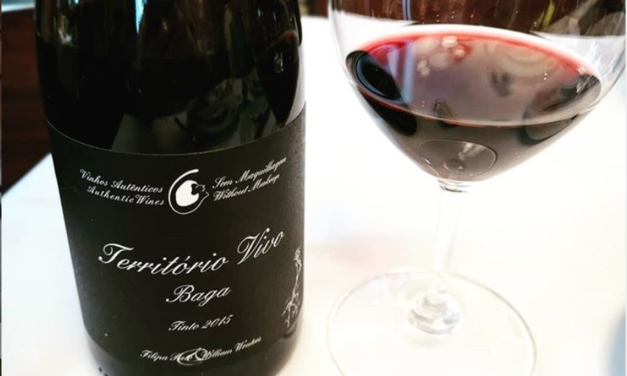 Território Vivo 2015