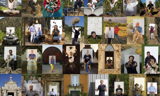 Vinhos de Portugal tem alcance nacional com novo formato