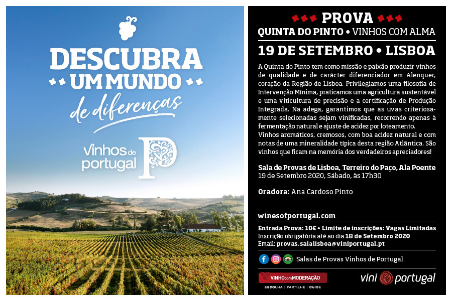 prova quinta do pinto