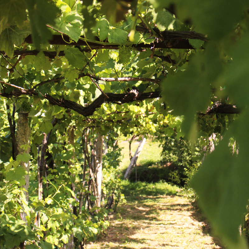 Quinta do Regueiro