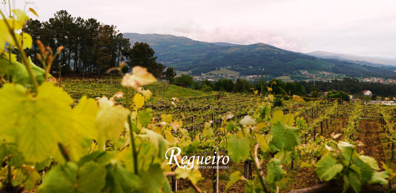 Quinta do Regueiro