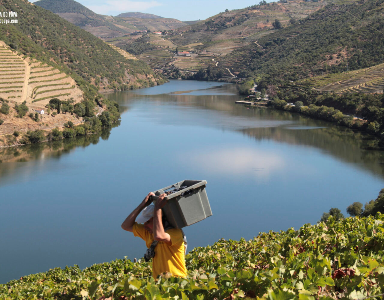 Quinta do Pôpa pioneira na (re)abertura do seu enoturismo