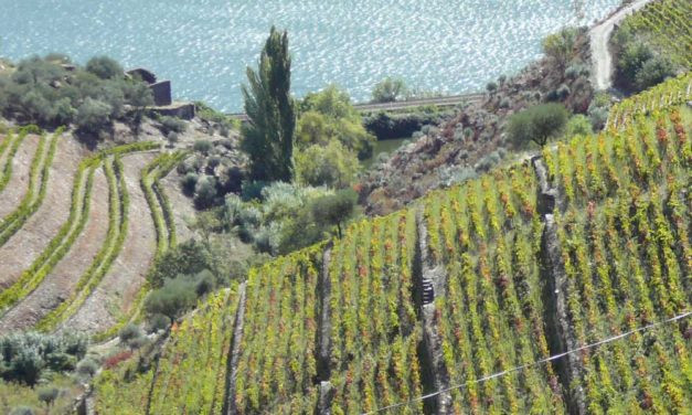Prova Temática Quinta do Crasto