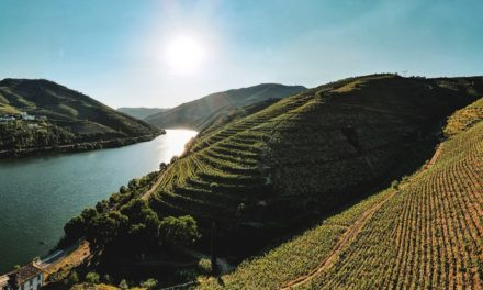 Menin Douro Estates desembarca no Brasil e marca presença na primeira edição da ProWine São Paulo